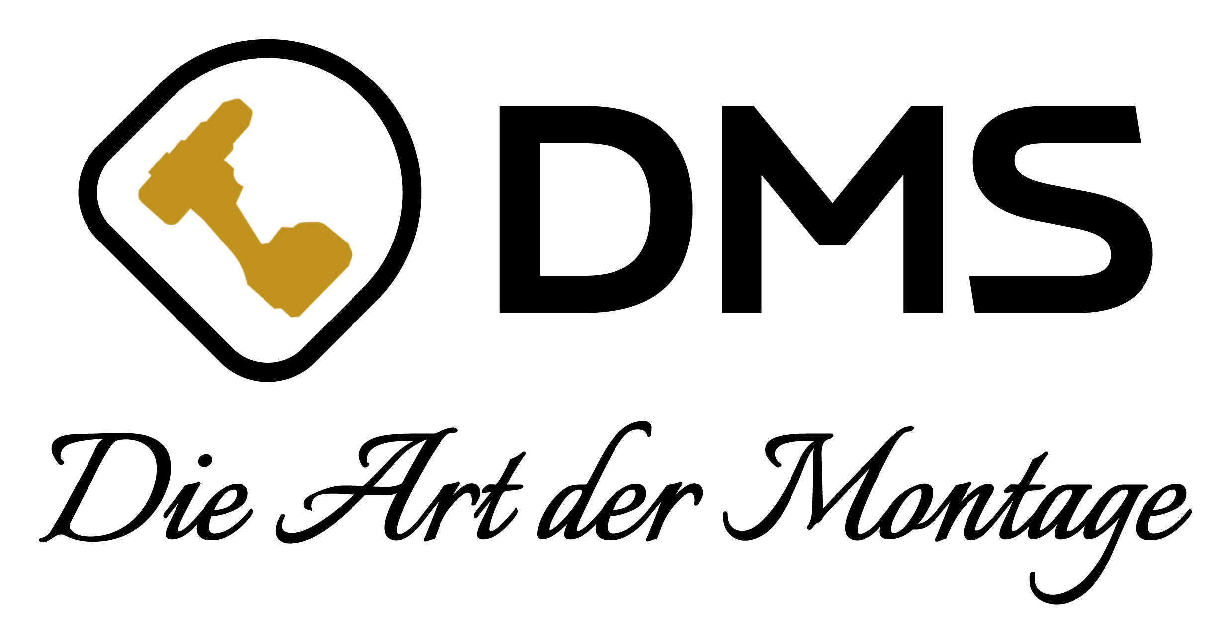 DMS Logo